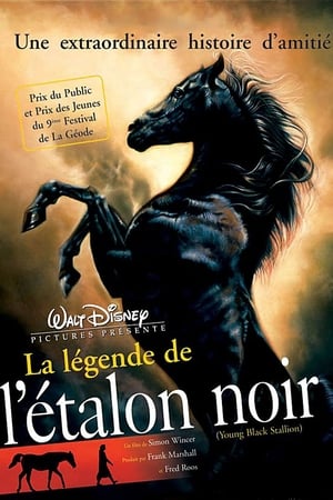 La légende de l'étalon noir - Young Black Stallion (2003)