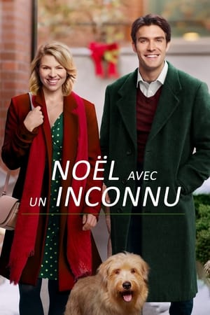 Noël avec un inconnu - A Gift to Remember (2017)