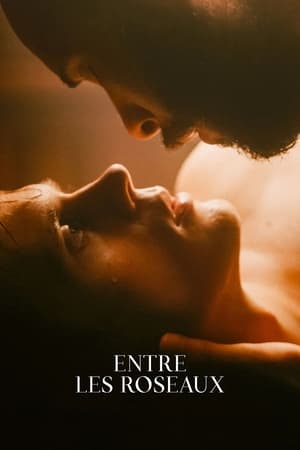 Entre les roseaux - A Moment in the Reeds (2018)