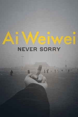 Ai weiwei : sans remords - Ai Weiwei: Never Sorry (2012)