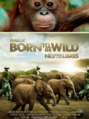 Nés pour être libres - Born to Be Wild (2011)