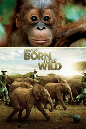 Născut pentru a fi sălbatic - Born to Be Wild (2011)