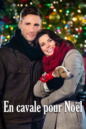 En cavale pour Noël - Dashing Through the Snow (2015)