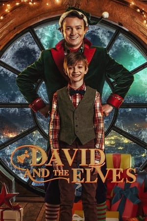 David și elfii - David and the Elves (2021)