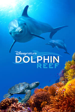 Reciful Delfinilor - Dolphin Reef (2018)