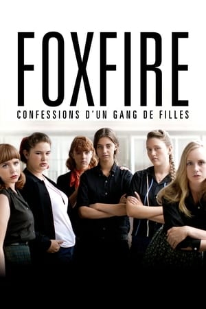 Foxfire : Confessions d'un gang de filles - Foxfire (2013)