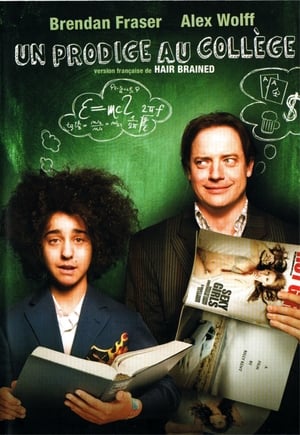 Un prodige au collège - Hairbrained (2013)