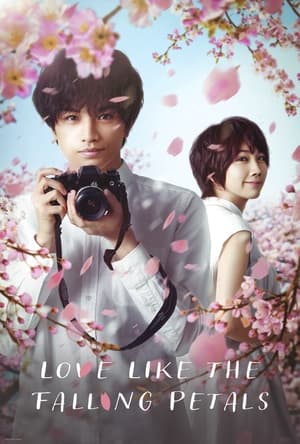 Il mio amore è un fiore di ciliegio - Love Like the Falling Petals (2022)