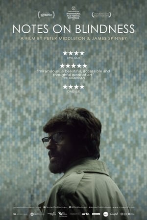 Une Expérience de l'Obscurité - Notes on Blindness (2016)