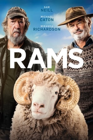 Los Granjeros - Rams (2020)