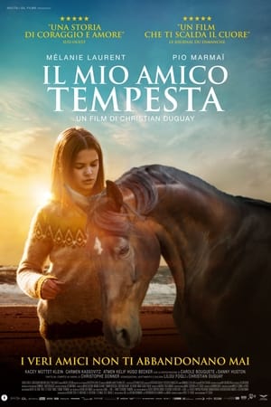 Il mio amico Tempesta - Ride Above (2022)