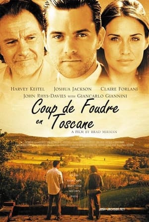 Des ombres au soleil - Shadows in the Sun (2005)