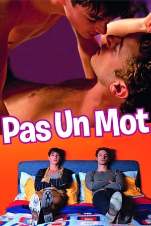 Pas un mot - Tell No One (2012)