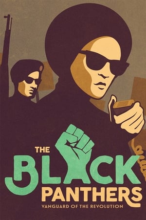 Black Panthers - The Black Panthers: Vanguard of the Revolution (2015)