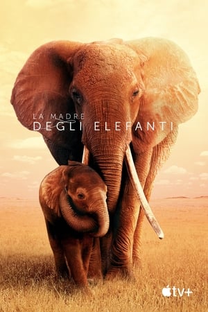 La madre degli elefanti - The Elephant Queen (2019)