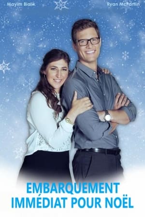 Embarquement immédiat pour Noël - The Flight Before Christmas (2015)