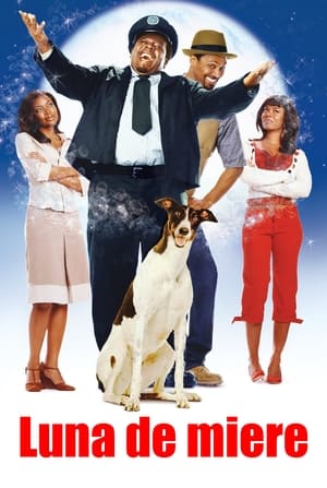 Luna de miere - The Honeymooners (2005)