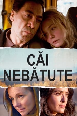 Căi nebătute - The Roads Not Taken (2020)