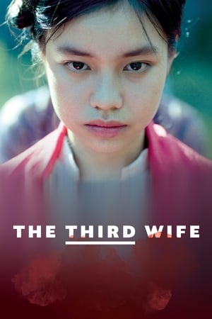 A treia soție - The Third Wife (2019)