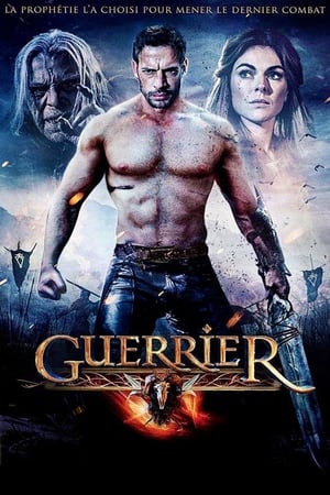 Guerrier - The Veil (2017)