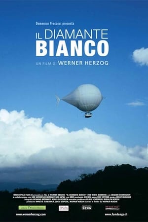 Il diamante bianco - The White Diamond (2004)