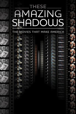 Aceste umbre uimitoare - These Amazing Shadows (2011)