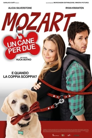 Mozart, un cane per due - Who Gets the Dog? (2016)