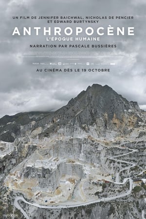 Anthropocène, l'époque humaine - Anthropocene: The Human Epoch (2018)
