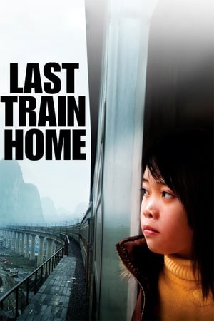 Le dernier train - Last Train Home (2009)