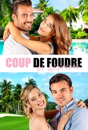 Coup de foudre et quiproquos - Love's Last Resort (2017)