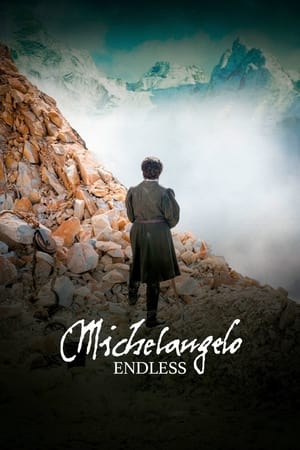 Michel-Ange Infini - Michelangelo Endless (2018)