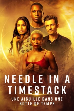 Une aiguille dans une botte de temps - Needle in a Timestack (2021)