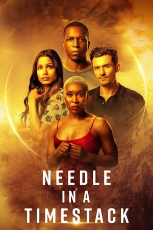 Amintirile și timpul - Needle in a Timestack (2021)
