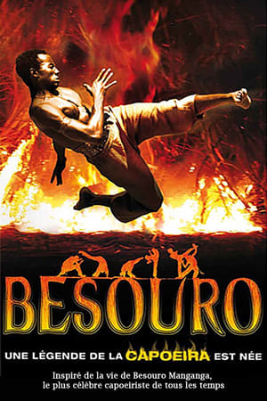 The Assailant (2009)