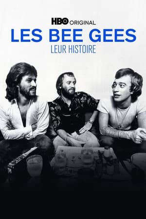 Les Bee Gees : leur histoire - The Bee Gees: How Can You Mend a Broken Heart (2020)