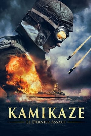 Kamikaze, le dernier assaut - The Fighter Pilot (2013)