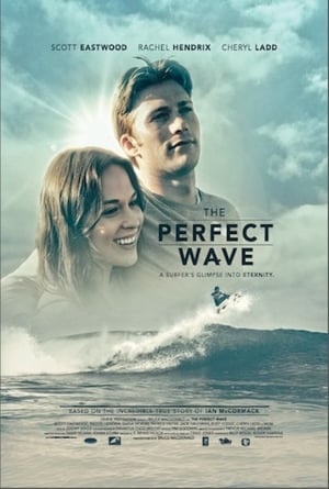 Valul perfect - The Perfect Wave (2014)