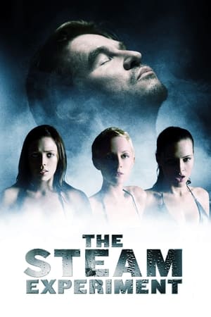 Locked - The Steam Experiment (2009)