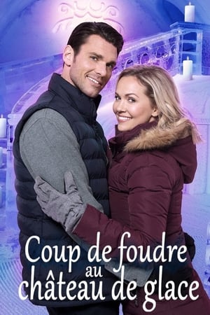 Coup de foudre au château de glace - Winter Castle (2019)