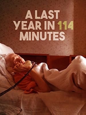 A last year in 114 minutes (2014)