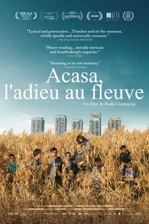 Acasa, l’adieu au fleuve - Acasă, My Home (2020)