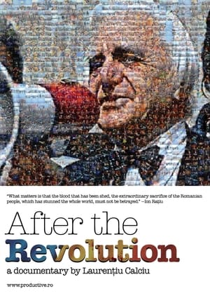After the Revolution (2010)