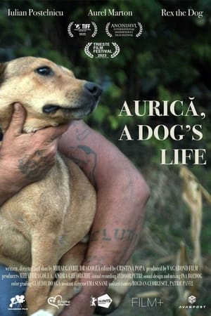 Aurica, a Dog's Life (2022)