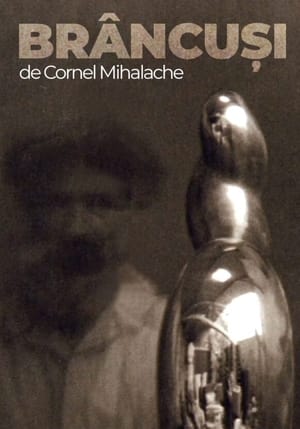 Brâncuși (1996)