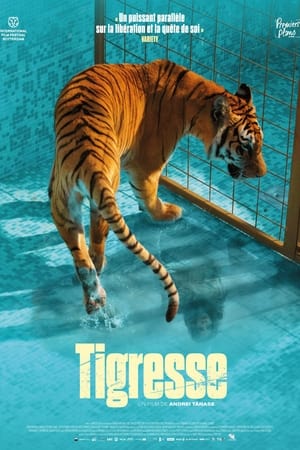 Tigresse - Day of the Tiger (2024)