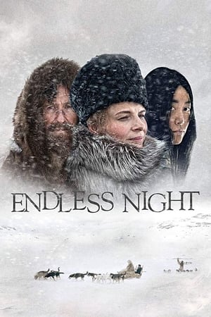 Personne n'attend la nuit - Endless Night (2015)