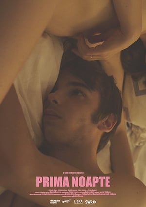 Prima noapte (2016)