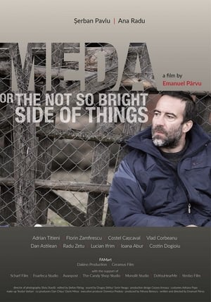 Meda ou Le moins bon côté des choses - Meda or The Not So Bright Side of Things (2017)