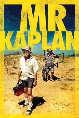 M. Kaplan - Mr. Kaplan (2014)