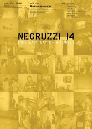 Negruzzi 14 (2016)